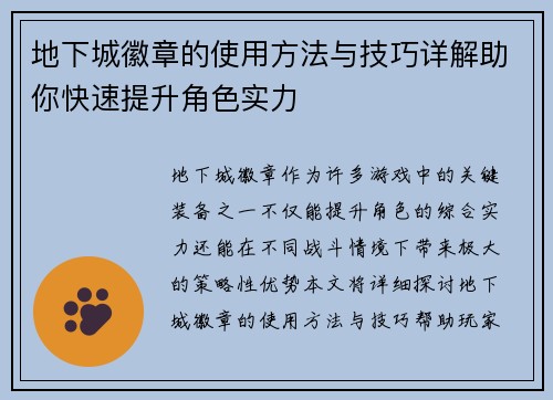 地下城徽章的使用方法与技巧详解助你快速提升角色实力
